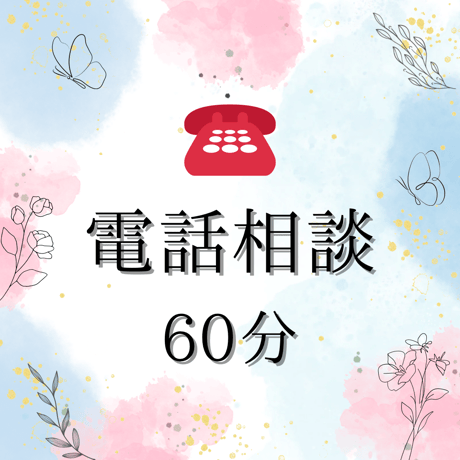 電話相談60分