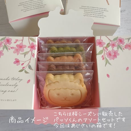パッソくんのクッキー５種類アソートセット【6月17日発送予定】