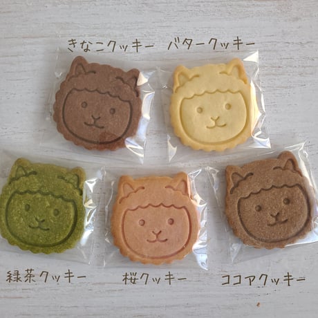 パッソくんのクッキー５種類アソートセット【3月26日発送予定】
