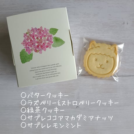 パッソくんのクッキー５種類アソートセット【6月17日発送予定】