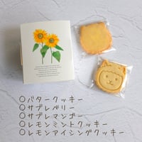 パッソくんのクッキー５種類アソートセット【7月15日発送予定】