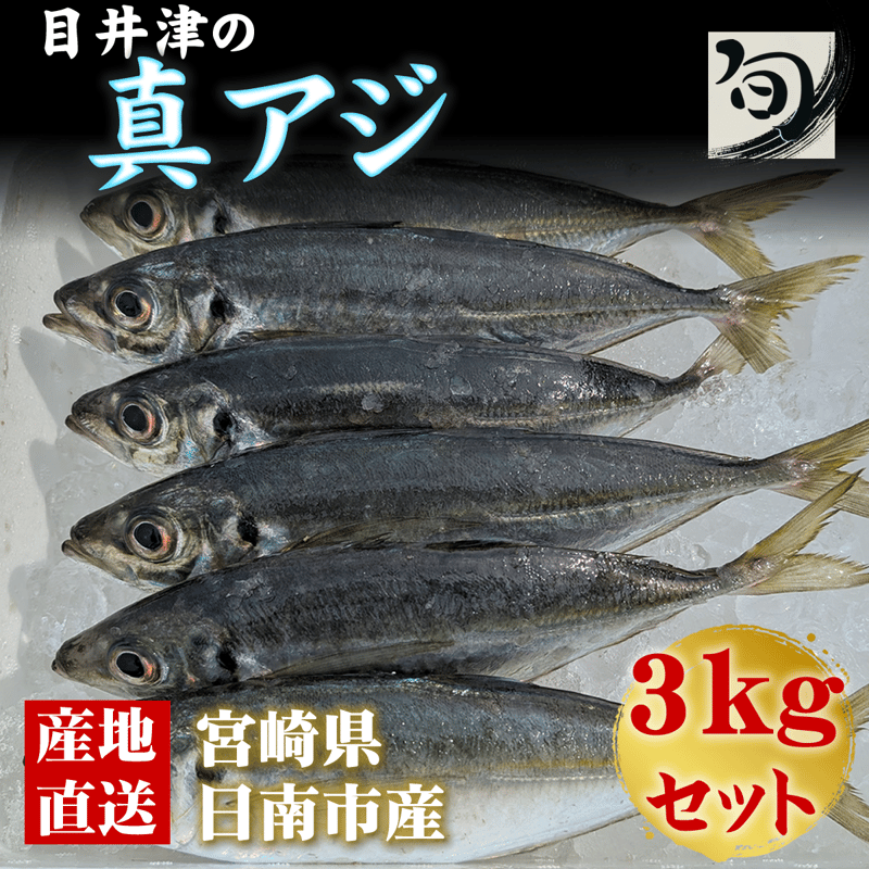 目井津の鯵》宮崎 目井津港直送 真アジ 3kgボックス | 旬鮮直送便