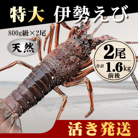 伊勢海老 | STORES
