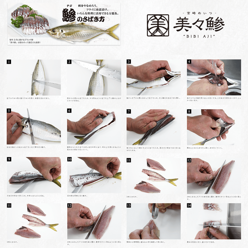 美々鯵》宮崎・目井津港の脂のるブランドアジ【春旬限定】 3kgボックス