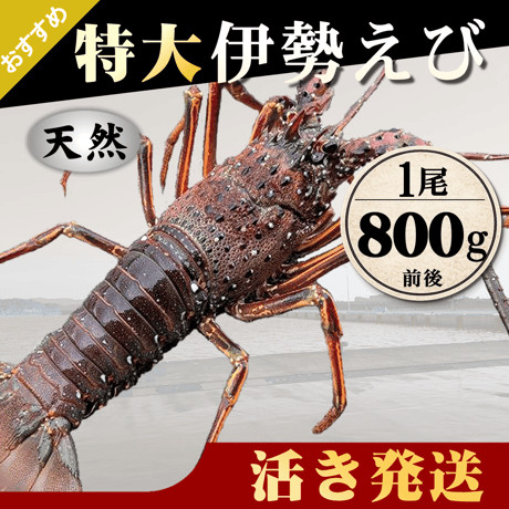 伊勢海老 | STORES