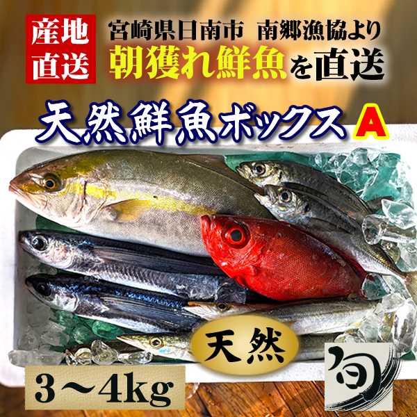 天然】朝獲れ鮮魚ボックスA (3~4kg) 宮崎県日南市 南郷漁協組合 季節の