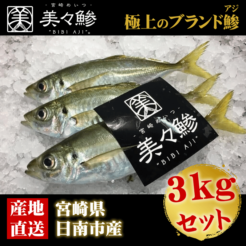 美々鯵》宮崎・目井津港の脂のるブランドアジ【春旬限定】 3kgボックス