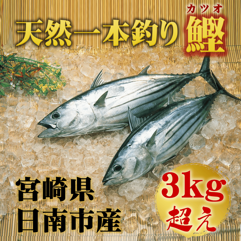 3kg】宮崎県日南市産 丸々一本 天然国産一本釣り鰹 | 旬鮮直送便