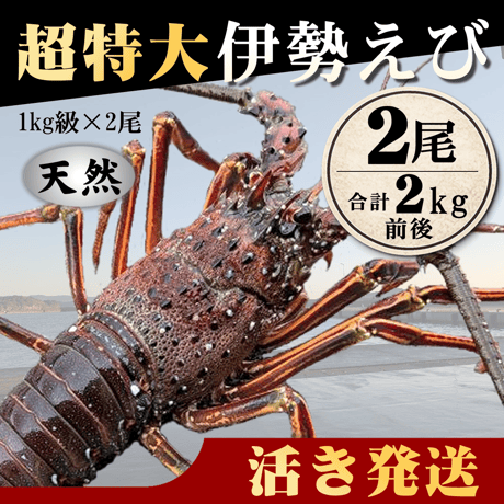 伊勢海老 | STORES