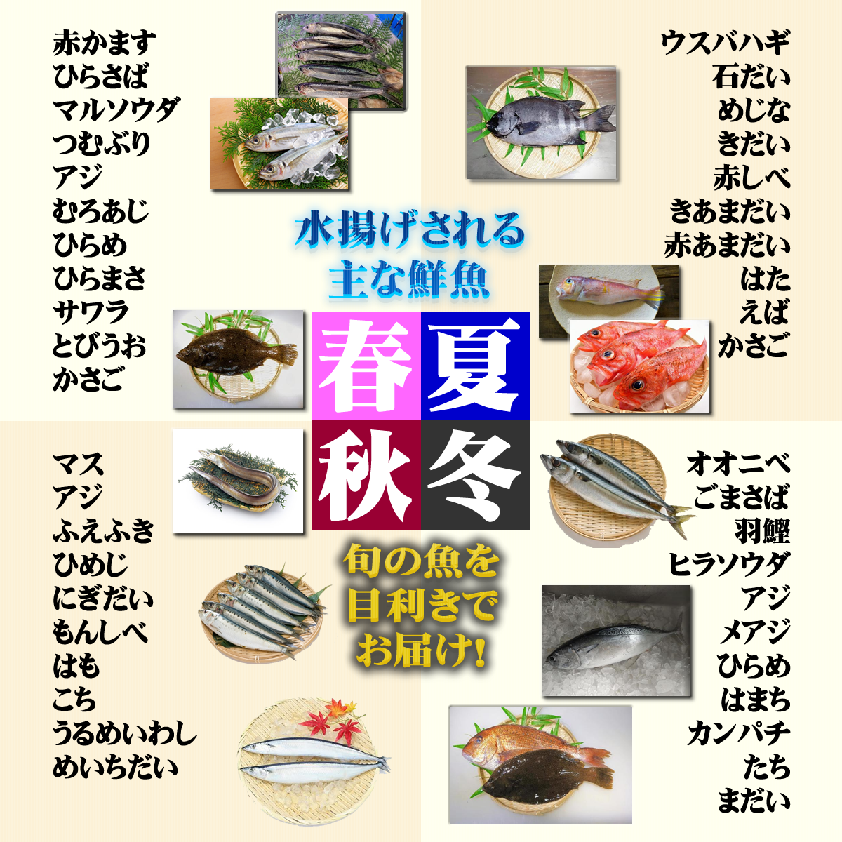 天然】朝獲れ鮮魚ボックスA (3~4kg) 宮崎県日南市 南郷漁協組合 季節の