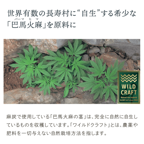 麻炭塩「匠」100g