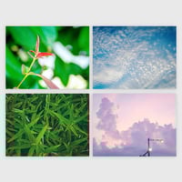 鑑定書・広報ツールデザイン用写真素材 - 盛夏の青2025