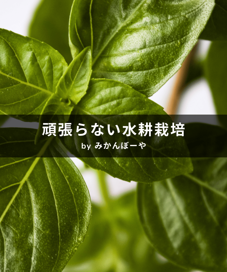 68720d4d8c0c2713cbeac2e7