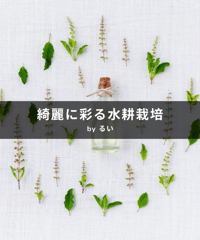 【定期便】るい