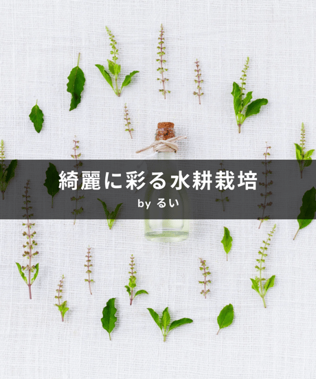 【定期便】るい