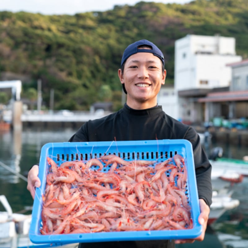 m*a様 激レア　美品　高額　蓋付き　対馬産　ヒラサザエ タカエビ（薩摩あまえび】鹿児島 南さつま お土産 特産品 | きやった