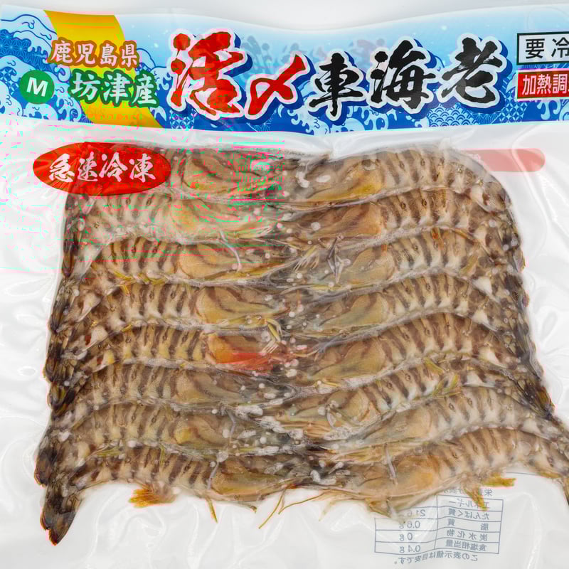 活き〆冷凍車海老（Sサイズ）】鹿児島 南さつま 特産品 お土産 博多浦