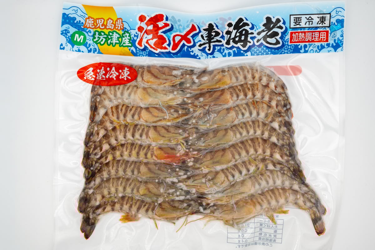 活き〆冷凍車海老（Sサイズ）】鹿児島 南さつま 特産品 お土産 博多浦