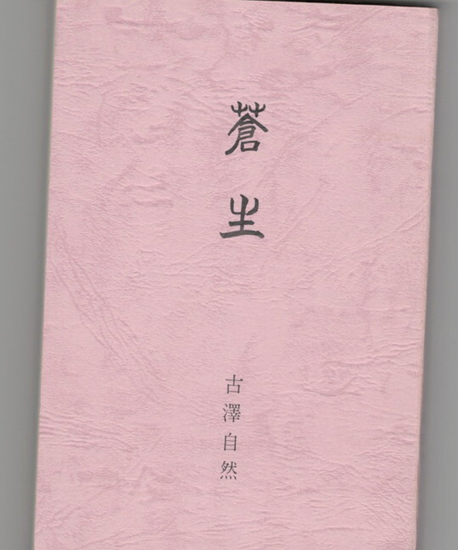 68e35c408119e500010203c1