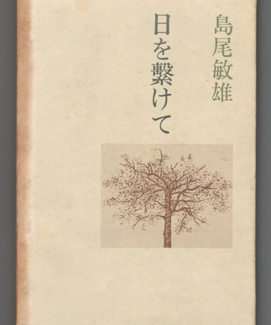 68e35c638119e500010203eb