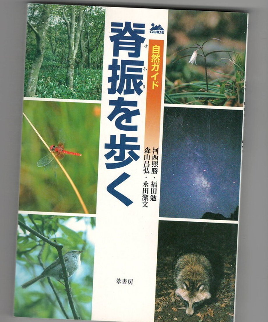 68dc90cd73db3d000165e1e4