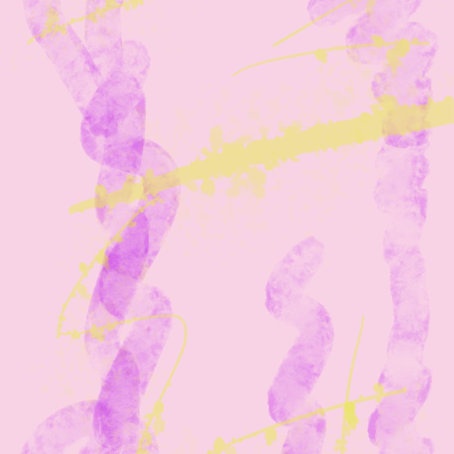 6808ef1c53ebeb484022d343
