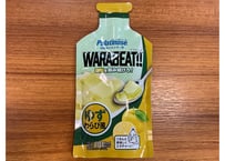 WARABEAT!!（ワラビート） ゆずわらび風