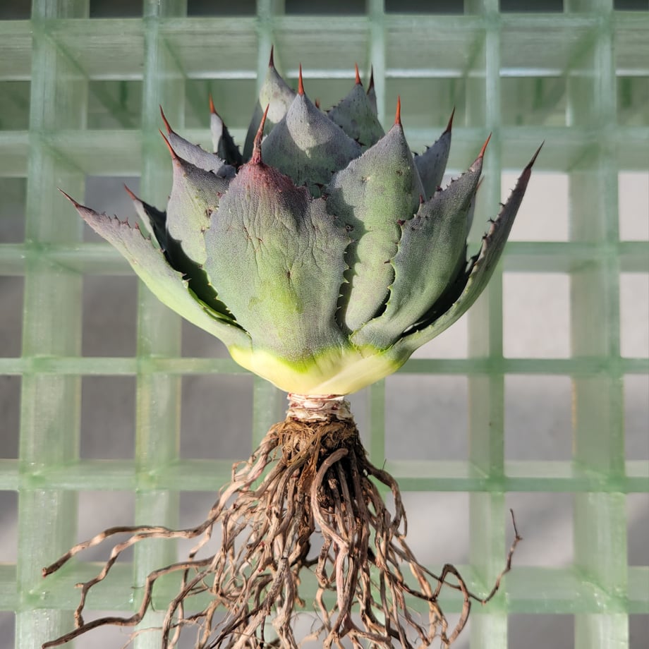69abb3fc86db81cb0e0caa11