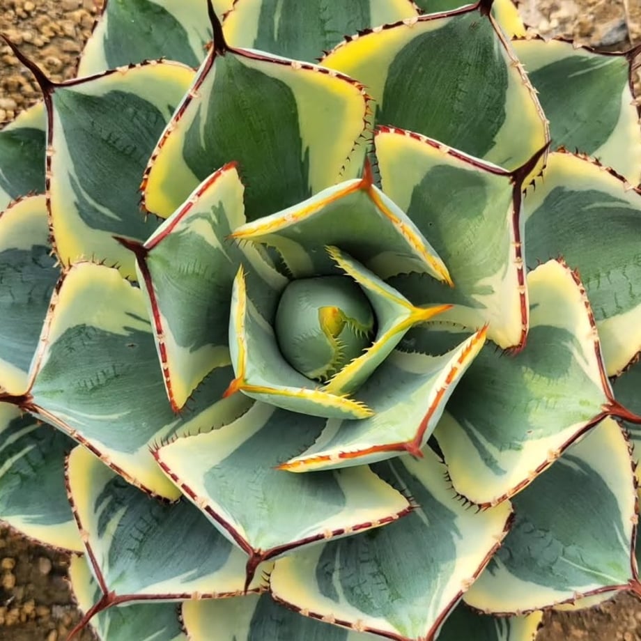 69f72ee3d50198aac06a7f2b