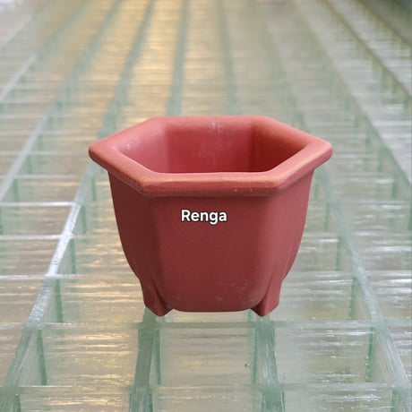 Konect nos pot