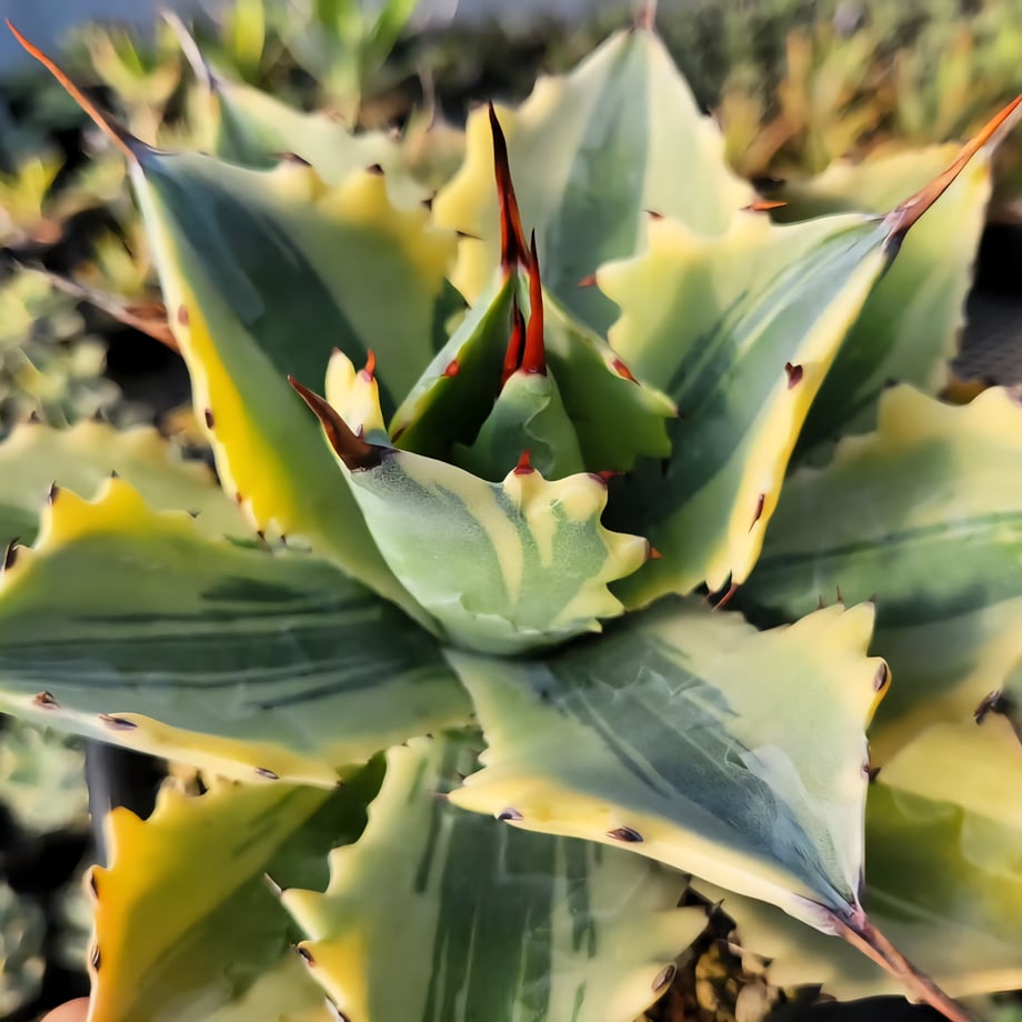 691d66a40c846b470471b2ac