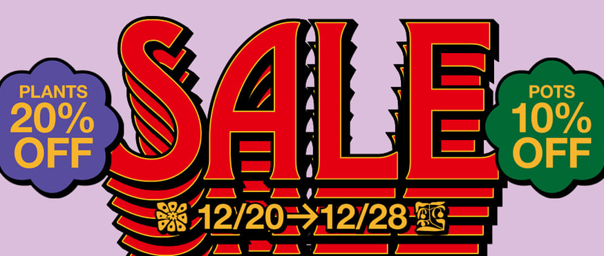 年末セール開催】12/20〜12/28まで | カトーエンゲー東京