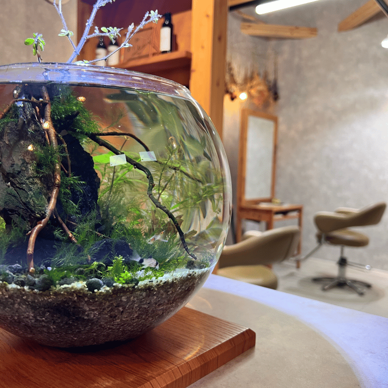 ボトルアクアリウム（完成品） | アクアシスト芽吹