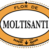 MOLTISANTI STORE
