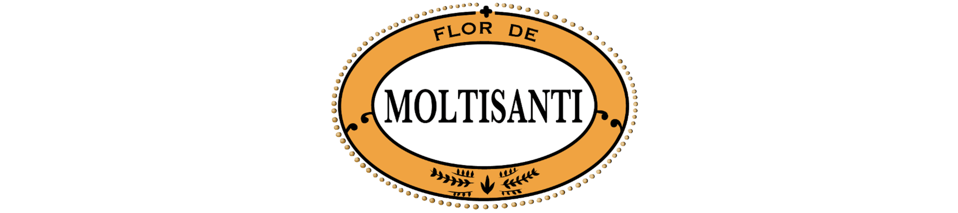 MOLTISANTI STORE