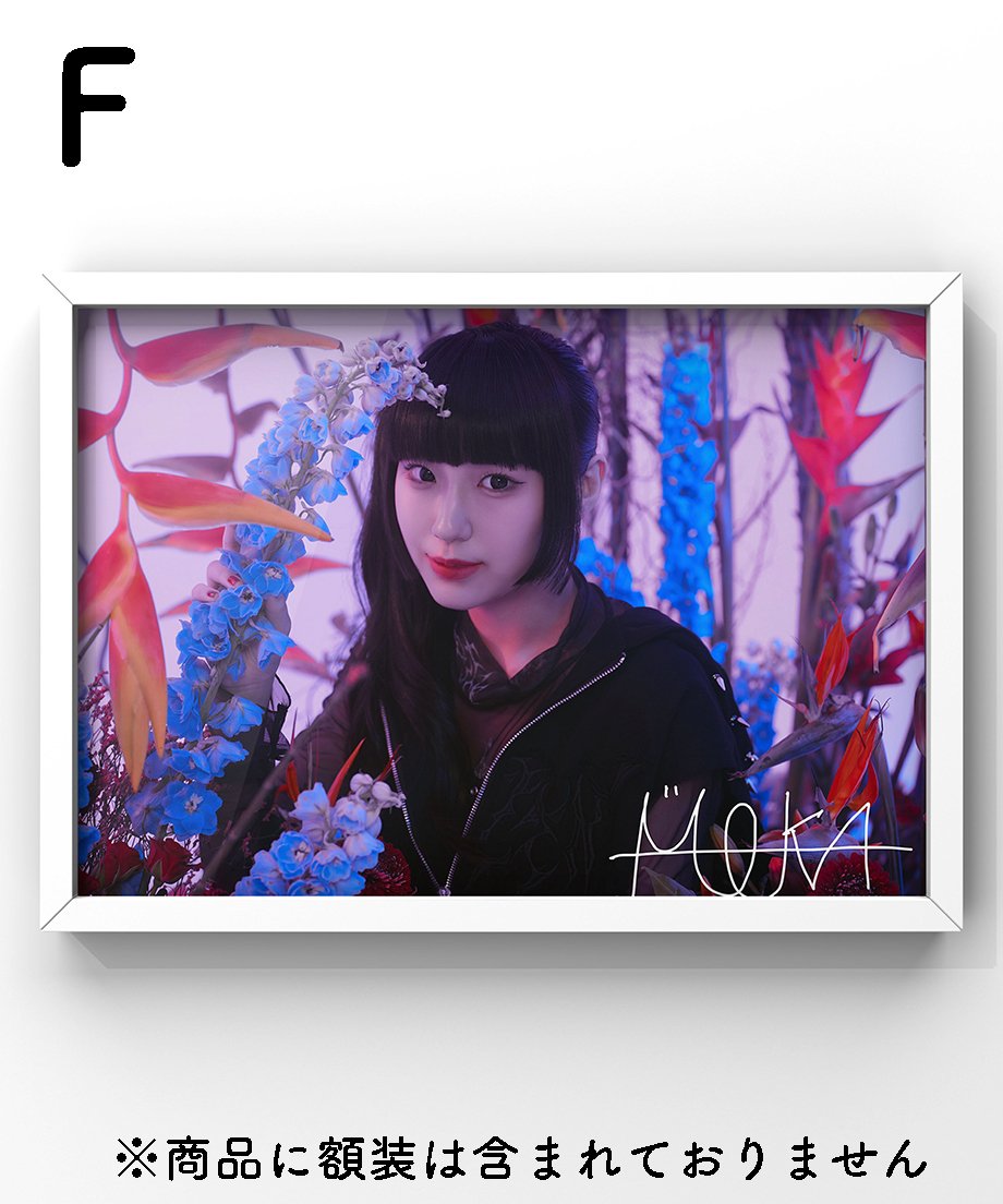 サイン入りフォトアルバム Amazon.co.jp: 超レア鈴木裕サイン入りバーチャファイター3