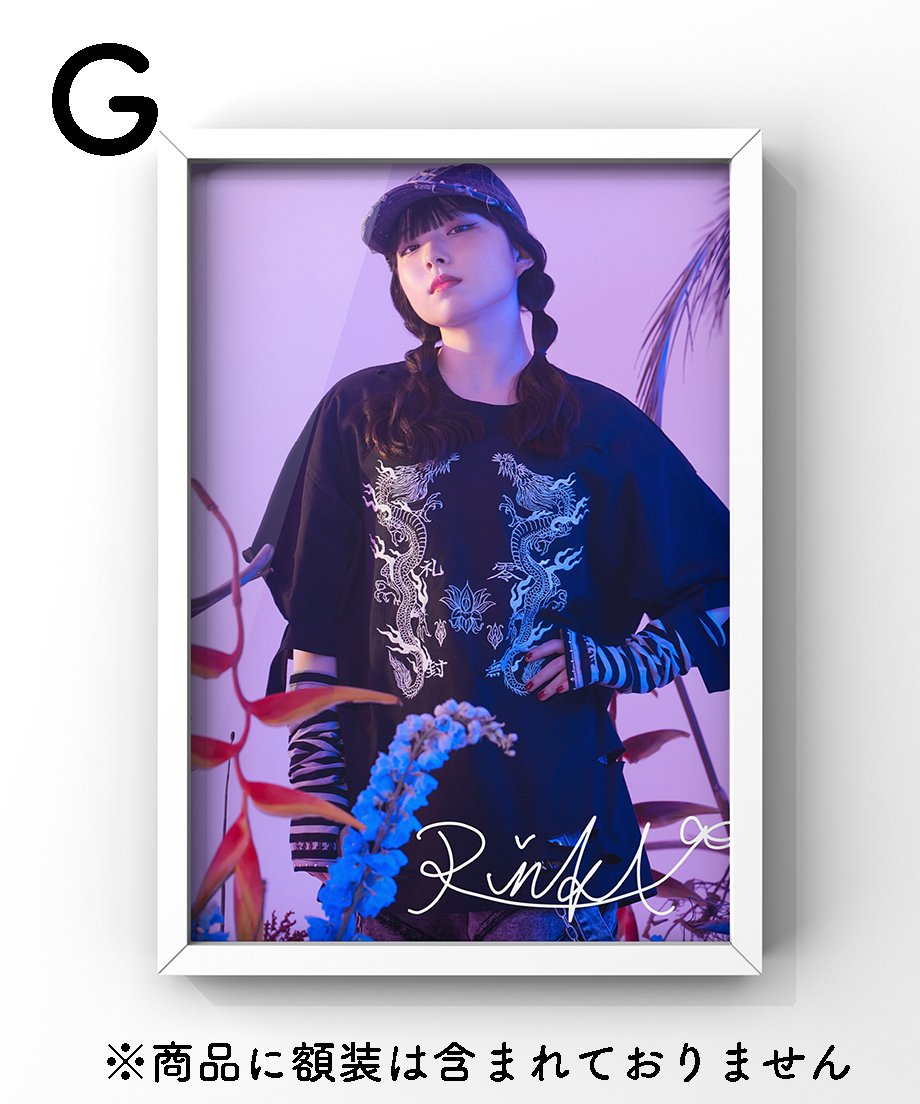 サイン入りフォトアルバム Amazon.co.jp: 超レア鈴木裕サイン入りバーチャファイター3