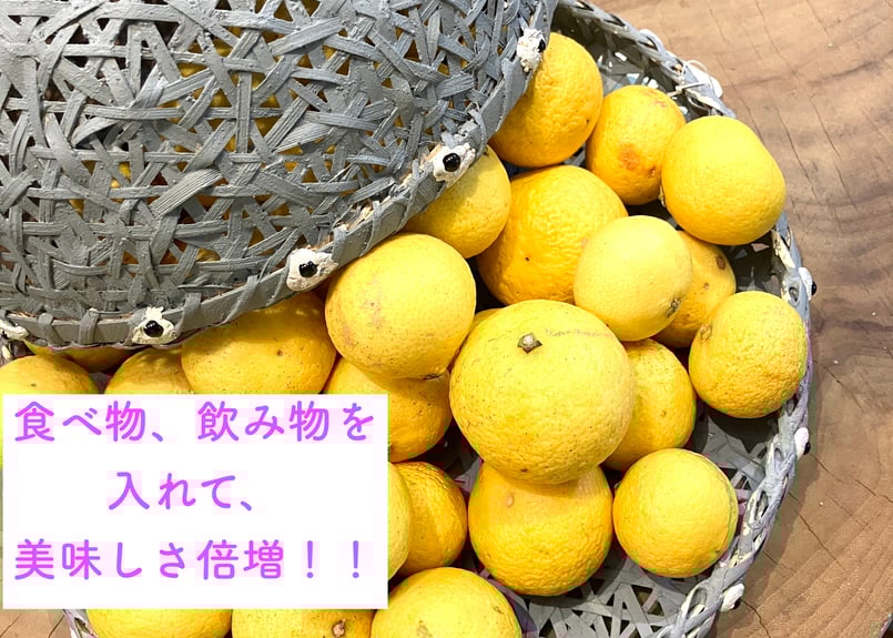 麻炭めがね 麻炭めがね体験談 - Cosmic hemp 麻炭 official 情報サイト