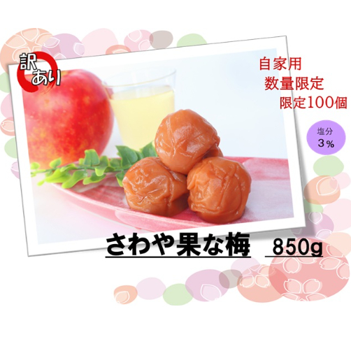 梅　専用 数量限定 自家用 さわや果な梅 850g | 黒松千年屋