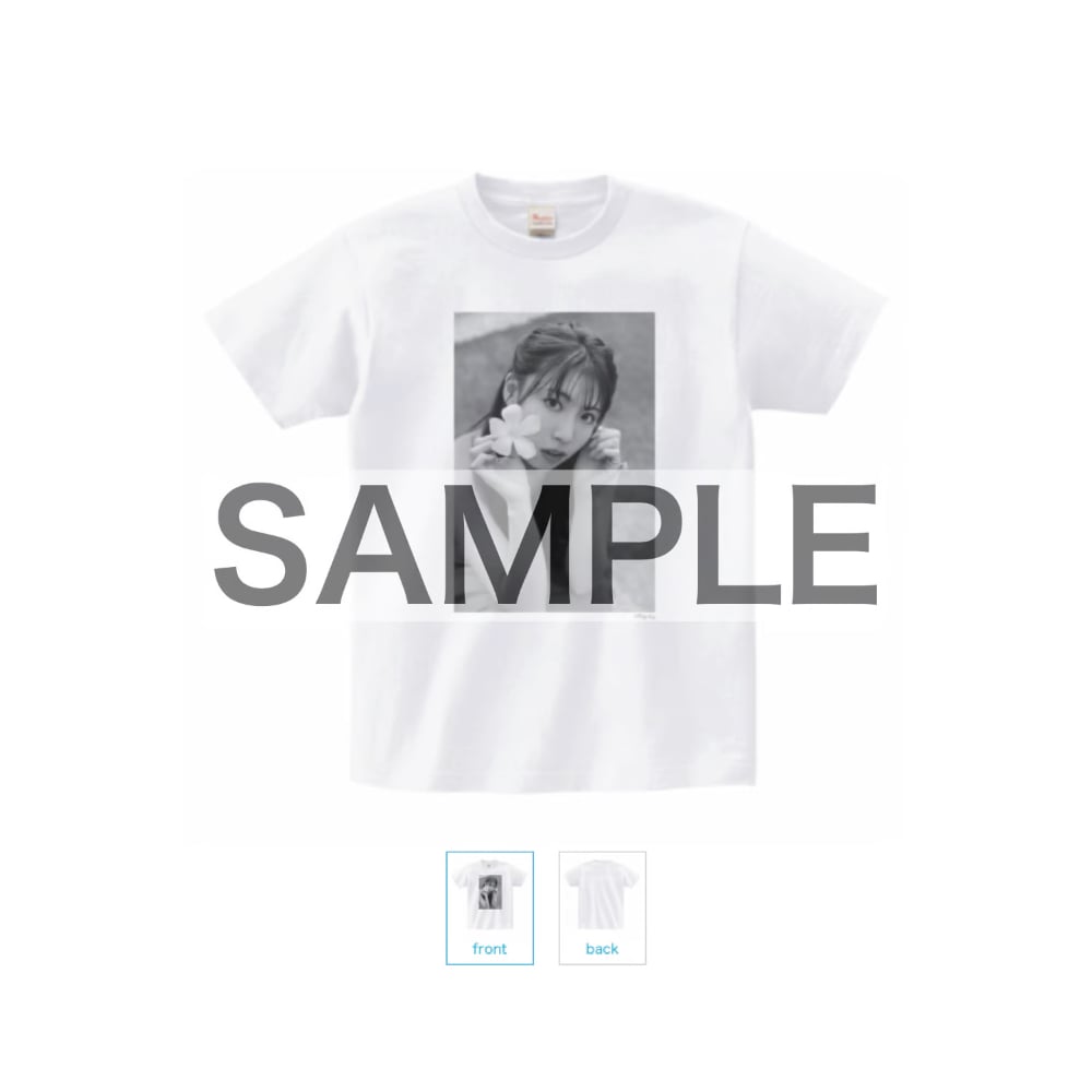 スワンキーズ サイン入りポスター LP DVD Tシャツ パンフレット セット