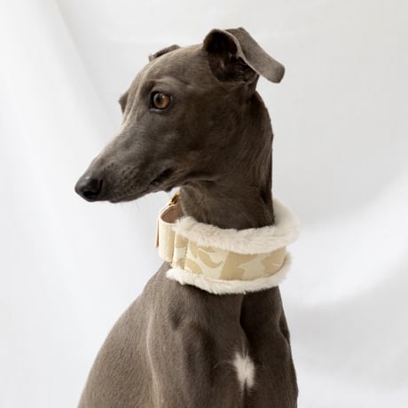 ウィペット | STORES