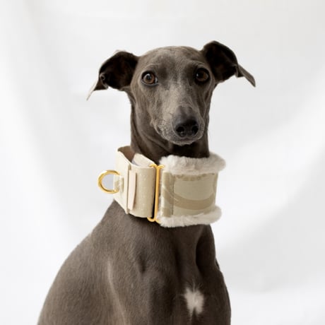 ウィペット | STORES