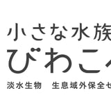 びわこベース