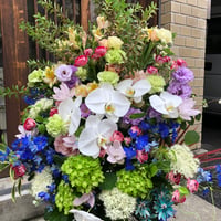 豪華な胡蝶蘭のアレンジメント