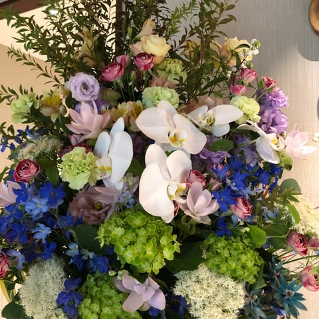豪華な胡蝶蘭のアレンジメント