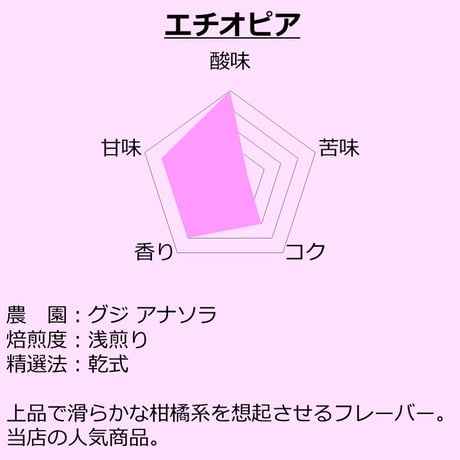 100g/エチオピア グジ・アナソラ/浅煎り