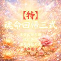 【特】魂命回帰三式