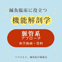 鍼灸臨床に役立つ機能解剖学【脈管系アプローチ】座学動画＋資料