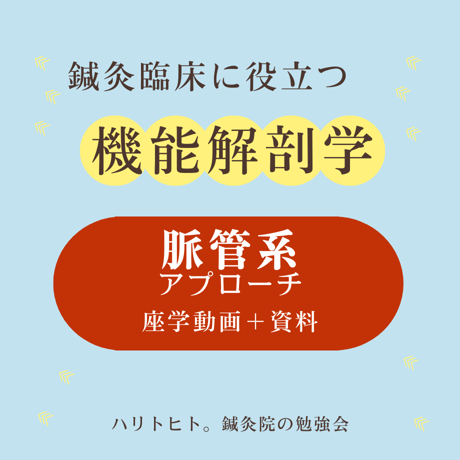 鍼灸臨床に役立つ機能解剖学【脈管系アプローチ】座学動画＋資料