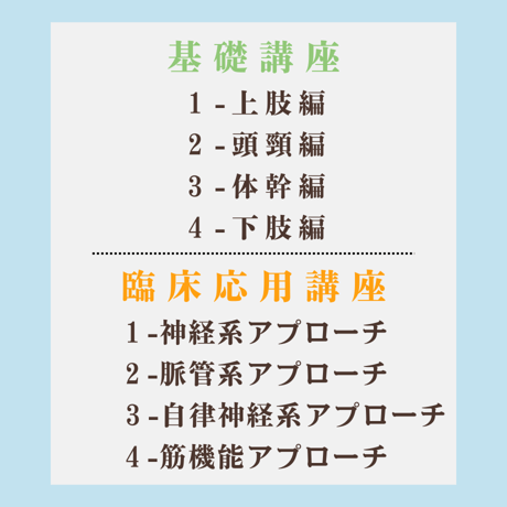 鍼灸臨床に役立つ機能解剖学【脈管系アプローチ】座学動画＋資料